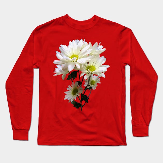 Daisies - White Daisies Long Sleeve T-Shirt by SusanSavad